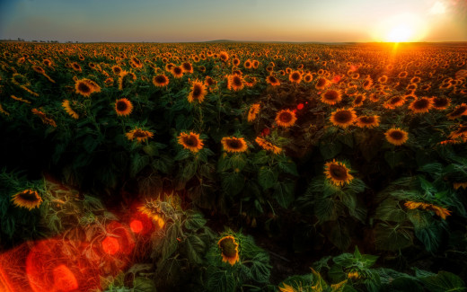 488393 (a): :2560x1600